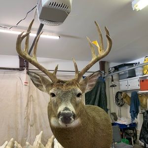 Meet your Posher, Collin